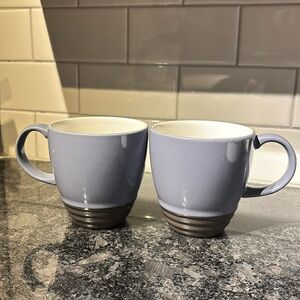 Set of 2 Pfalzgraff Mugs.